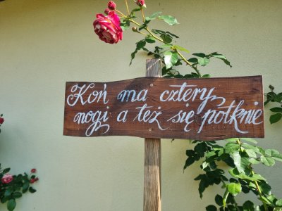 Zdjêcie